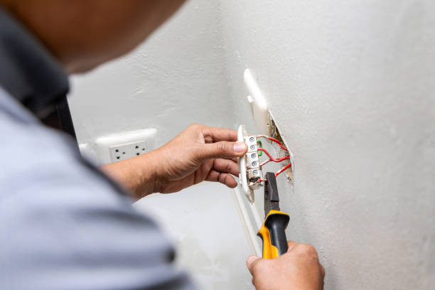 Best Ceiling Fan Installation Electrician  in Mila Doce, TX