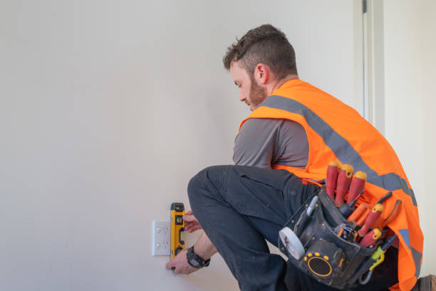 Best Electrician for Home Renovation  in Mila Doce, TX
